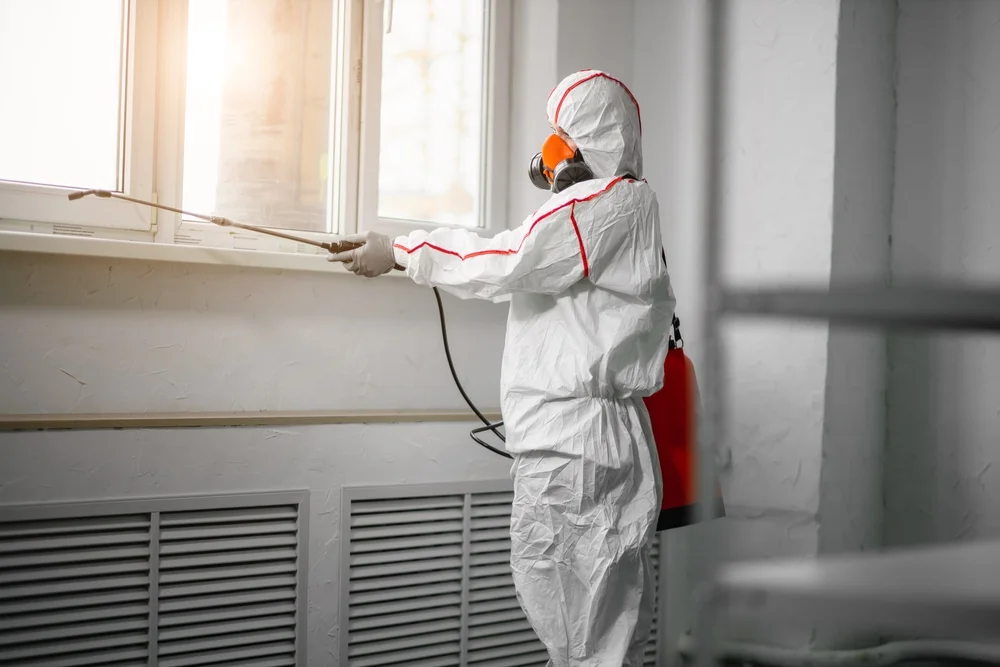 Professional mold remediation services in Richmond, MN
